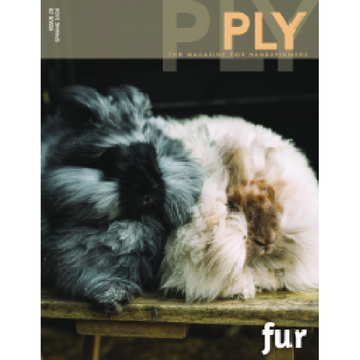 Ply Magazine - Issue 28