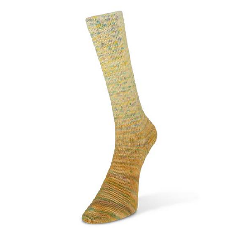 Laines du Nord Paint Gradient Sock