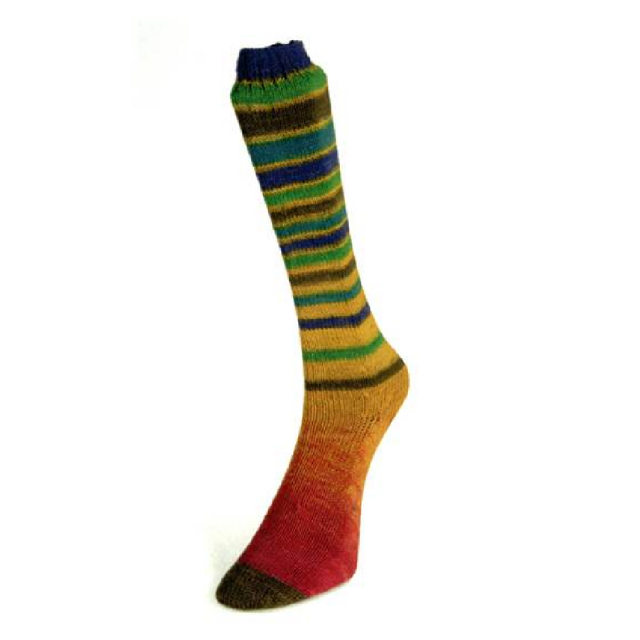 Laines du Nord Infinity Sock