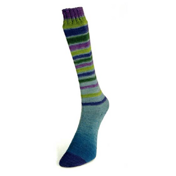 Laines du Nord Infinity Sock