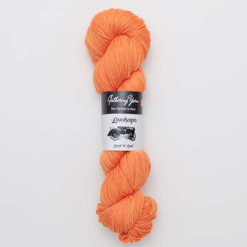 Gathering Yarn Landscapes