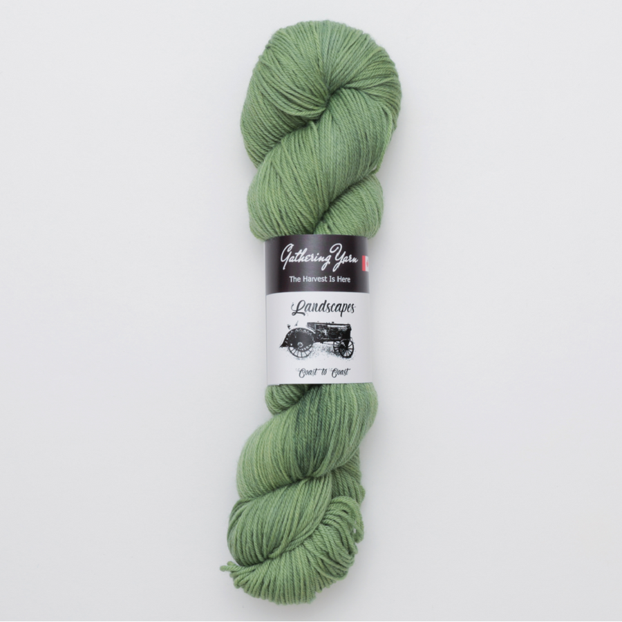 Gathering Yarn Landscapes