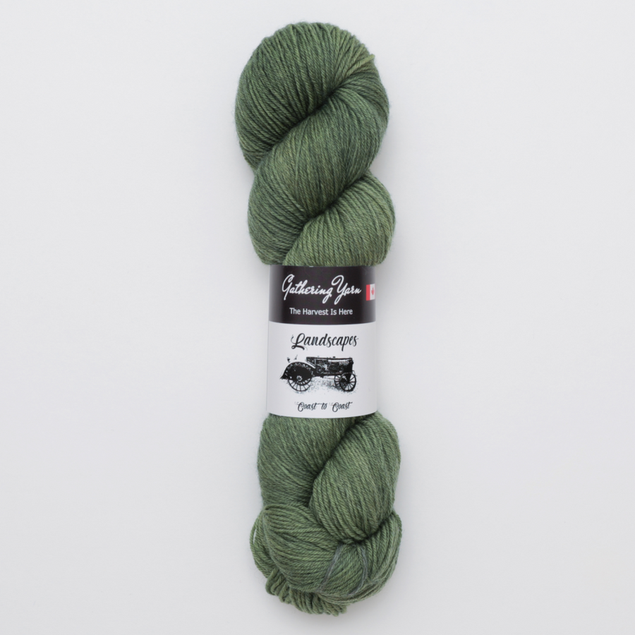 Gathering Yarn Landscapes