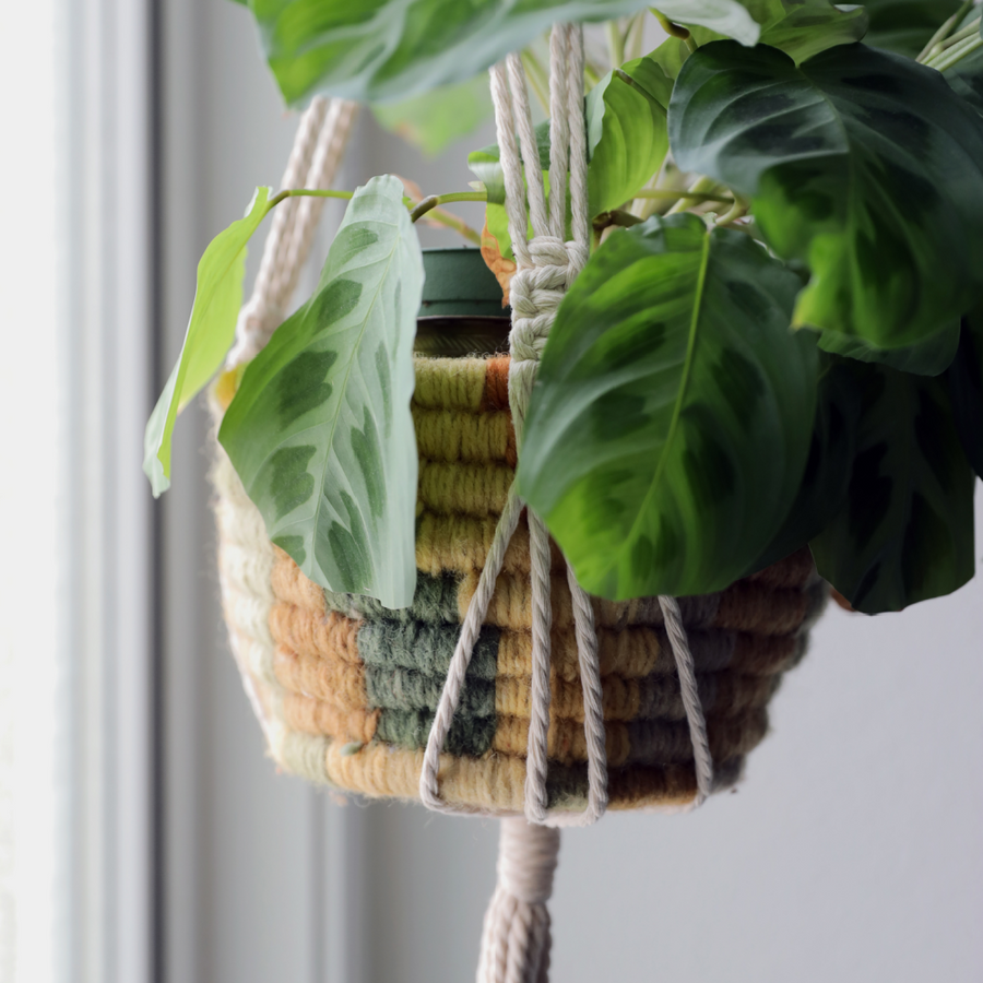 Macrame Plant Hanger