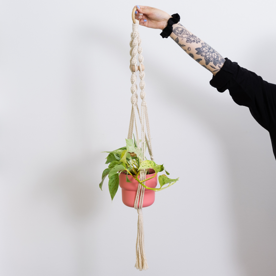 Macrame Plant Hanger
