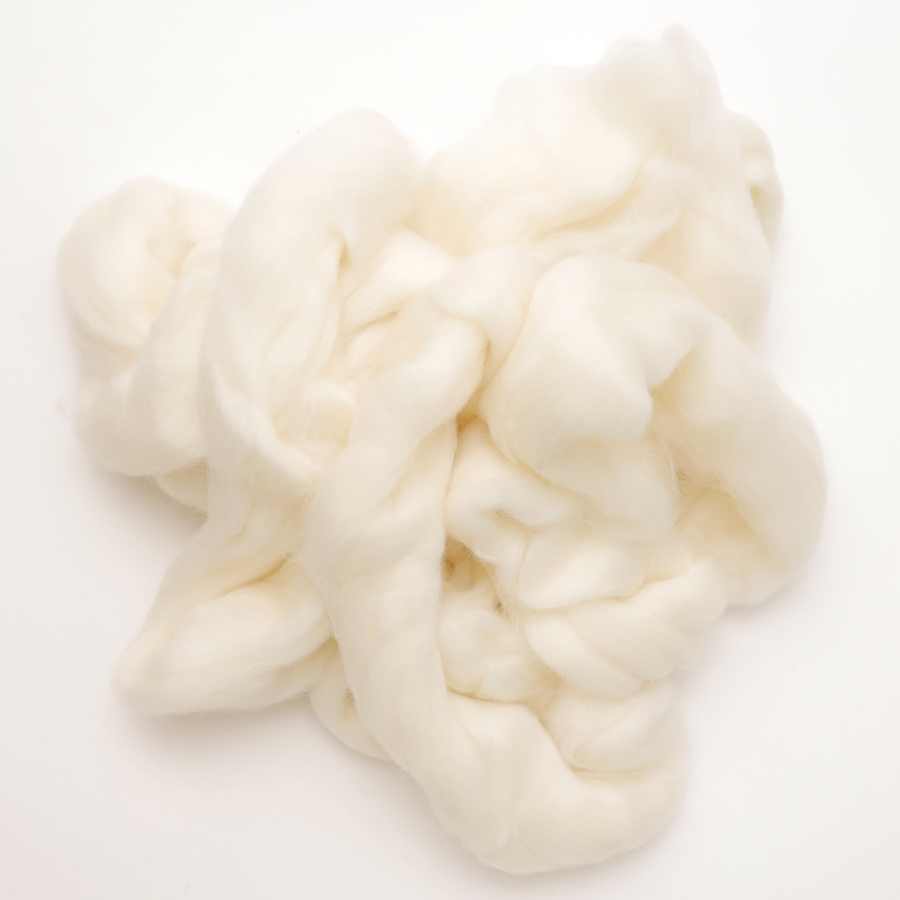 Natural Combed Top | Polwarth