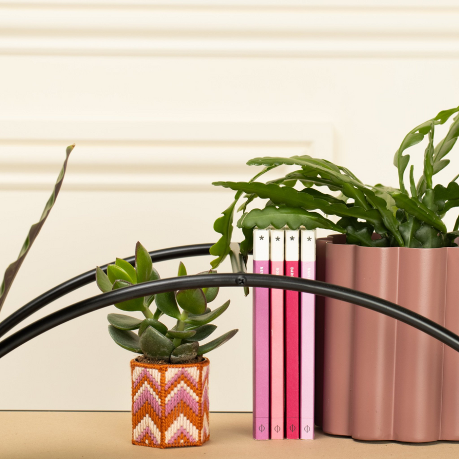 The Bargello Edit | Mini Planter Trio